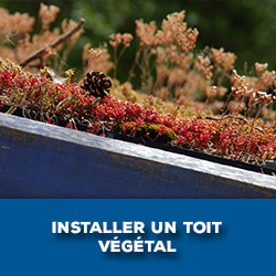 Installer un toit végétal