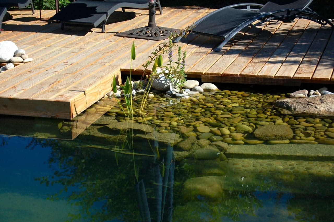 Piscine Biologique