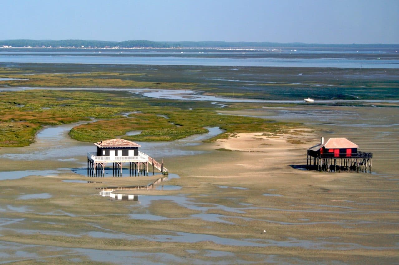 Bassin d'Arcachon - Sylvia Caribeaux