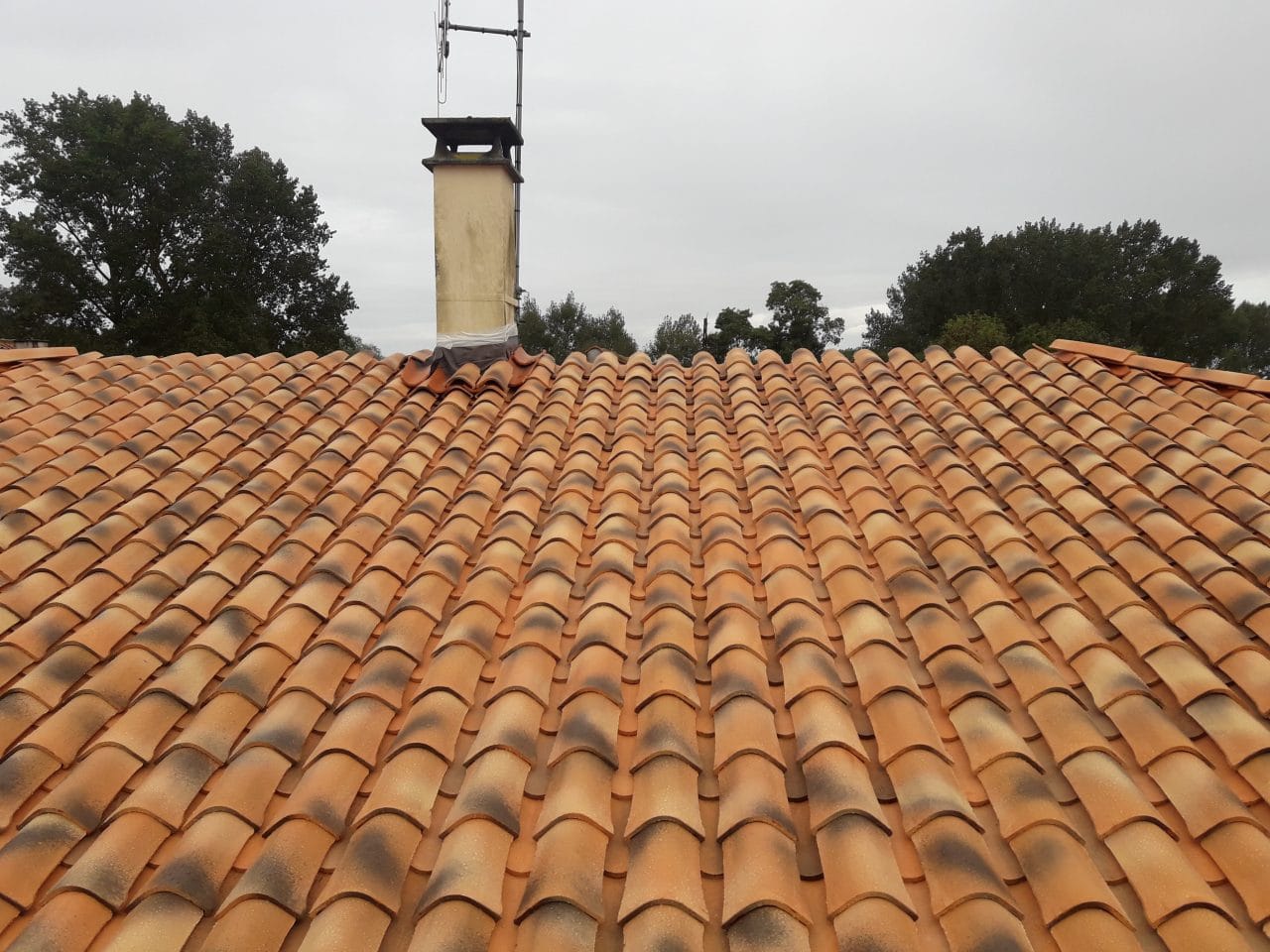 Rénovation d’une toiture à Saint-Hilaire-la-Palud (79)