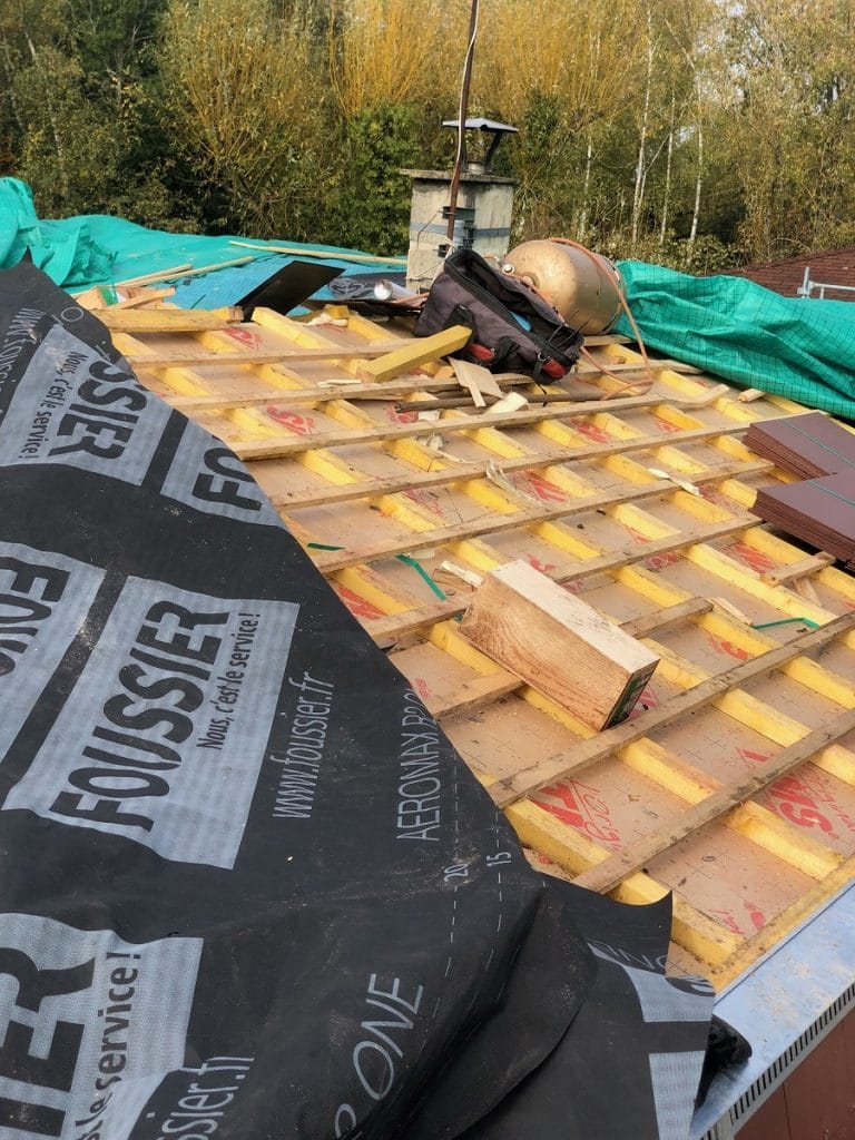 Remplacement des bois de charpente - Isolation extérieure d'une maison atypique à Vienne en Val