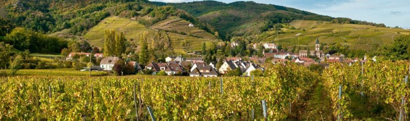 illiCO travaux Colmar vignoble – Ribeauvillé