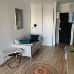 rénovation d'appartement pour de la locatif à Bordeaux - salon et entrée