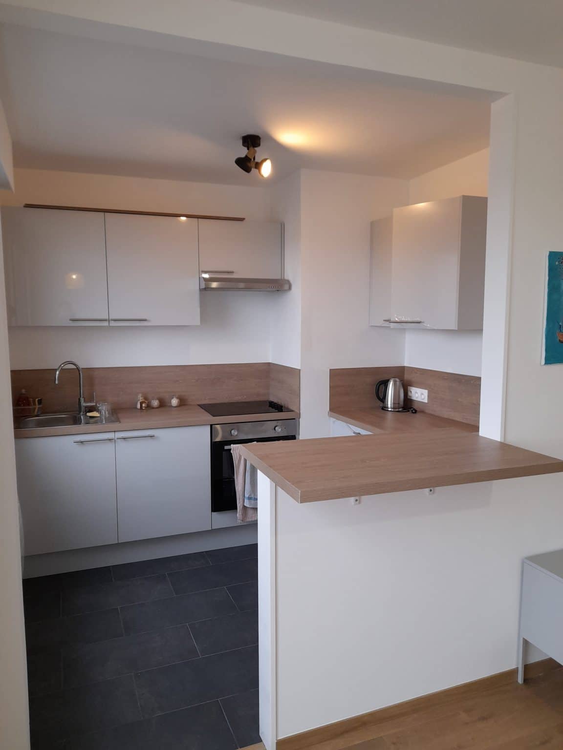 Rénovation d’un appartement locatif à Lille Saint-Maurice (59)