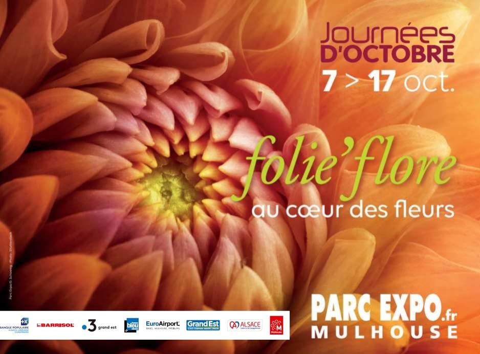 Folie Flore et Village de l'Habitat à Mulhouse 2021