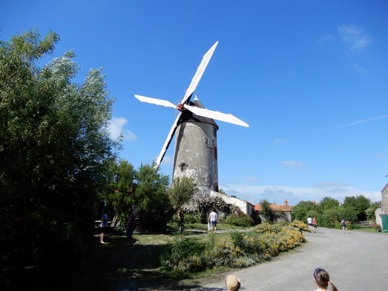 Moulin de Rairé, Sallertaine, Vendée, France - illiCO travaux