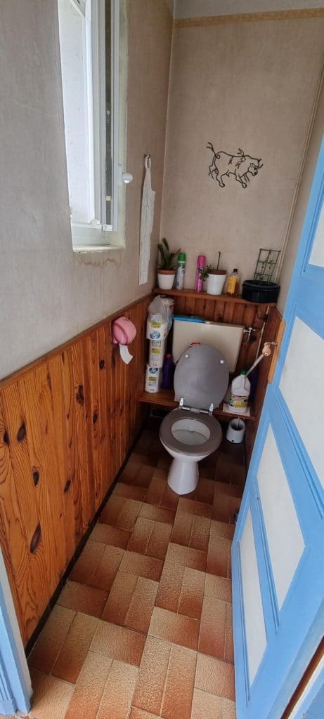 WC avant travaux - Rénovation intérieure d'une maison à Loire-sur-Rhône (69)