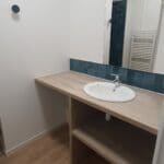 Rénovation complète d’un appartement à Lille - vasque salle de bain