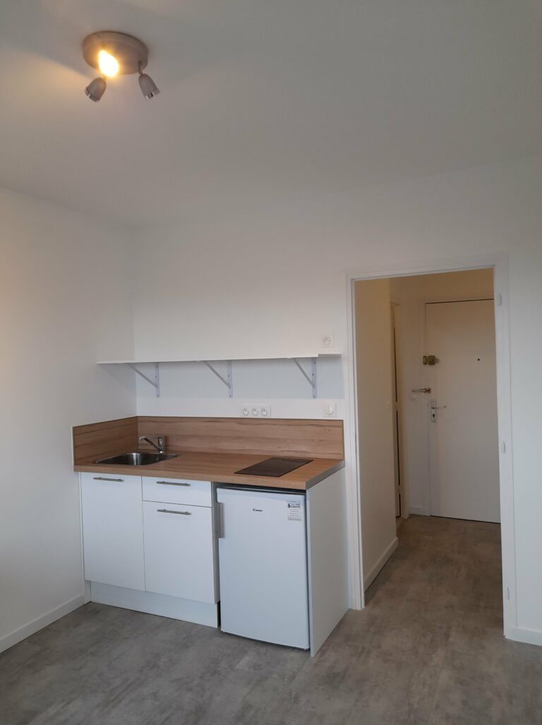 Rénovation d’intérieur d’un appartement à Lille (59)