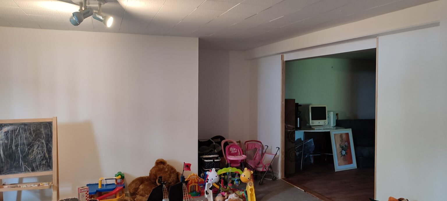 Aménagement de garage à Auzeville-Tolosane (31)