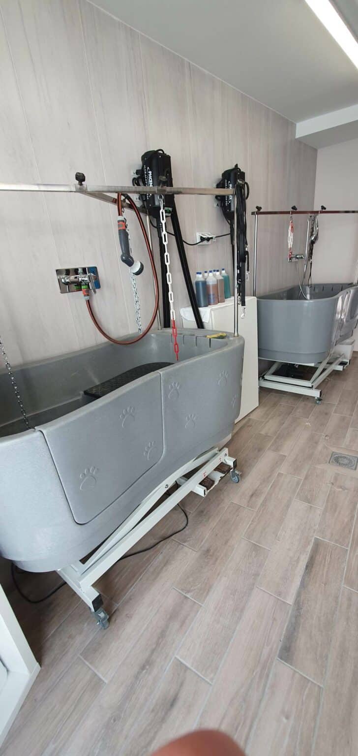 Rénovation d’un salon de toilettage à Cognac (16)