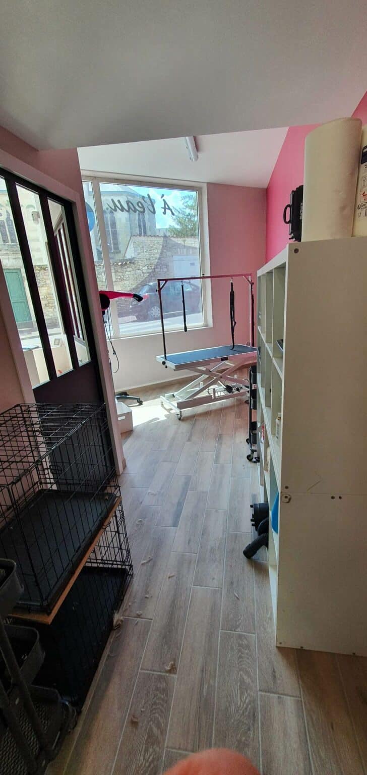 Rénovation d’un salon de toilettage à Cognac (16)
