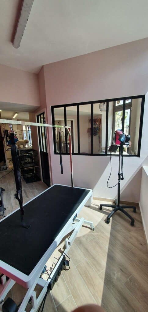 Rénovation d'un salon de toilettage à Cognac