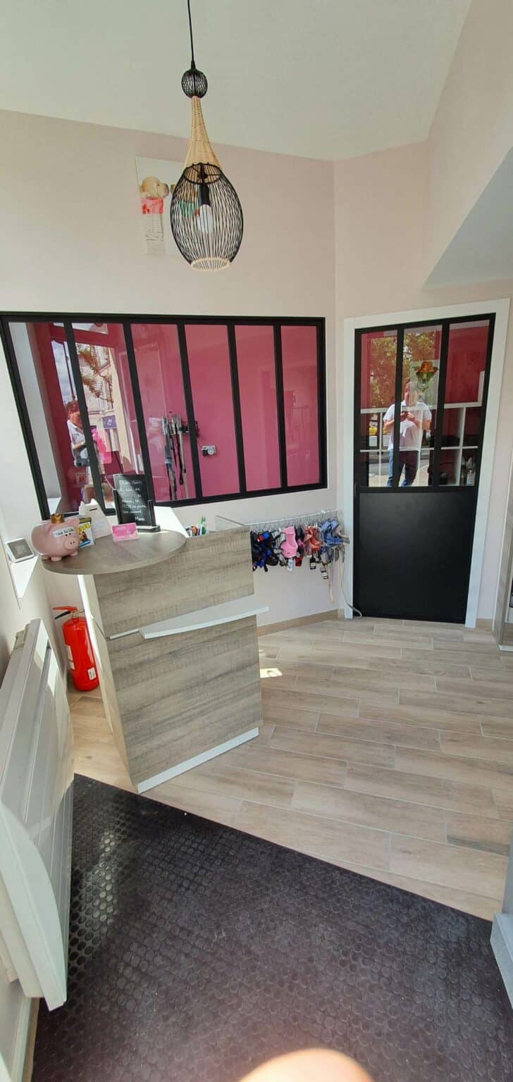 Rénovation d’un salon de toilettage à Cognac (16)