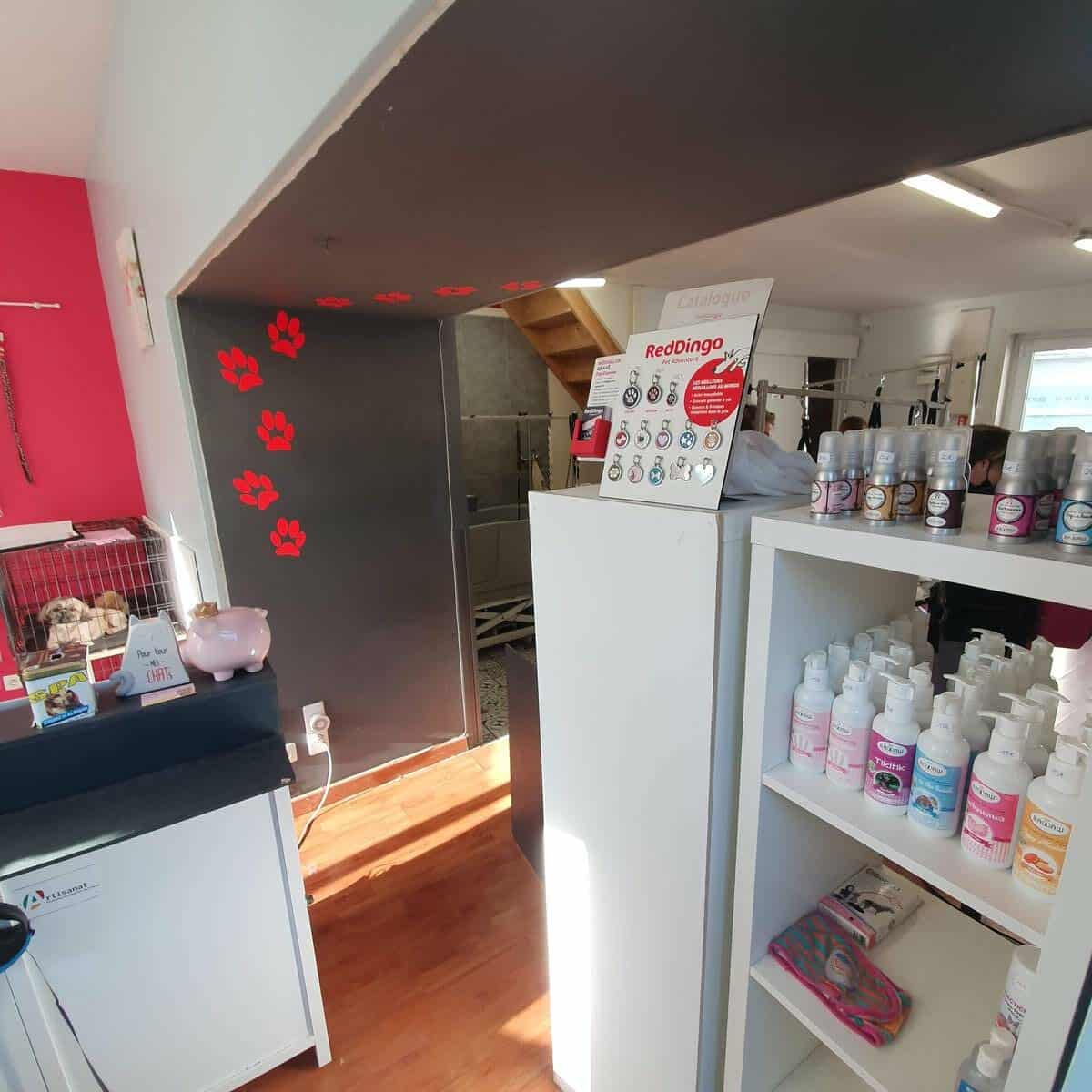 Rénovation d’un salon de toilettage à Cognac (16)