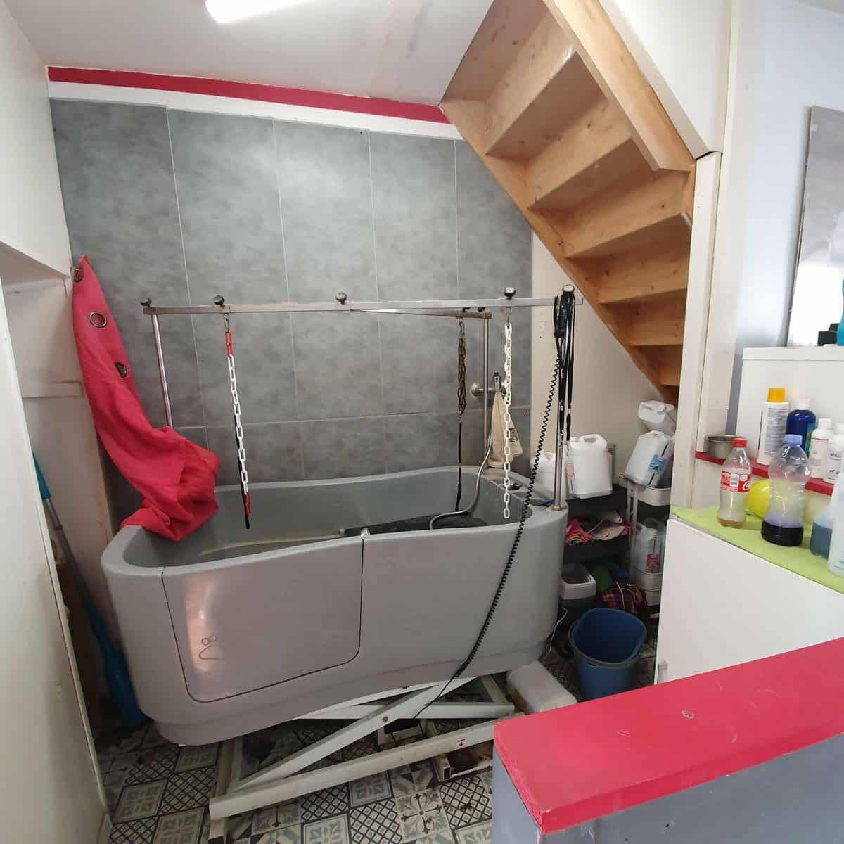 Rénovation d’un salon de toilettage à Cognac (16)