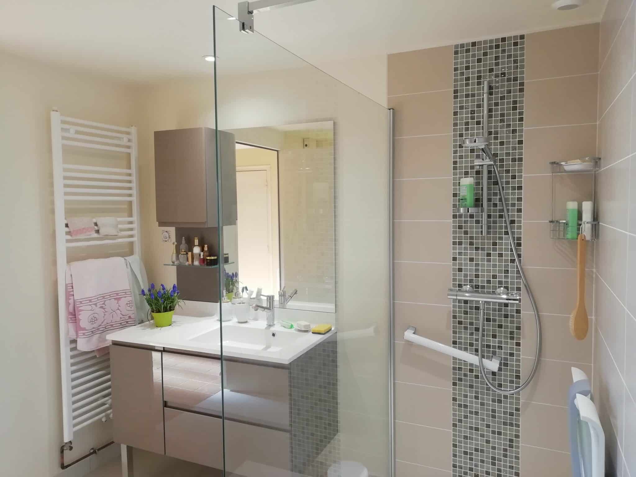 Transformation d’une buanderie en salle de bain à Lécousse - colonne douche et miroir