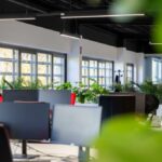 Rénovation de bureaux professionnels - bureaux et verdure