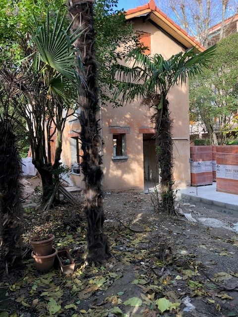 Rénovation et extension de maison à Toulouse : jardin avant travaux