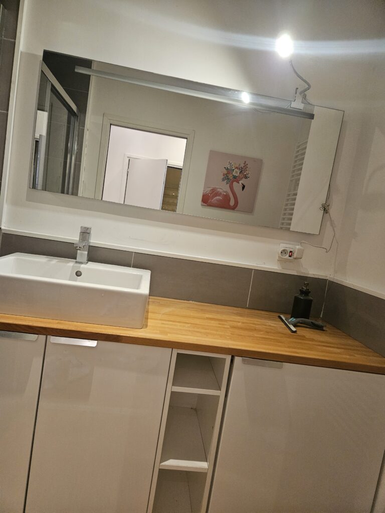 Rénovation de salle de bain dans un appartement à Lille (59)