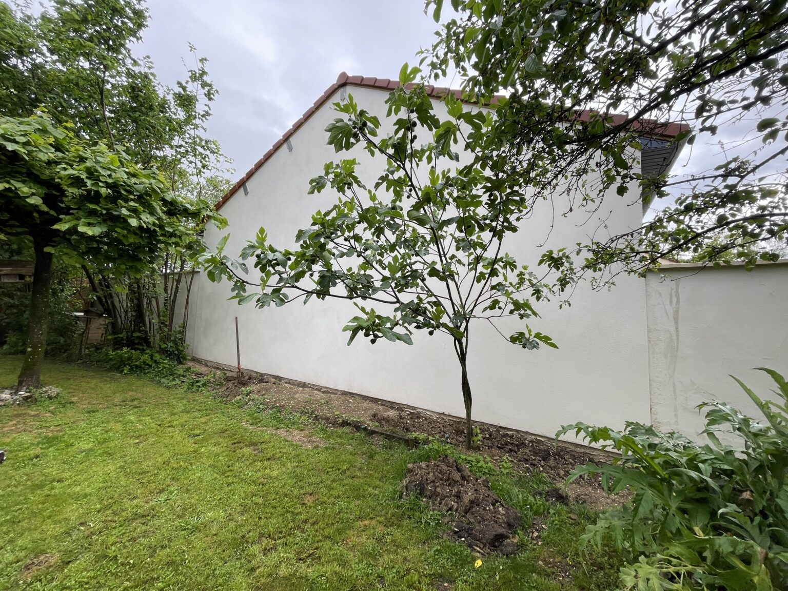 Extension de maison à Chevigny-Saint-Sauveur (21)